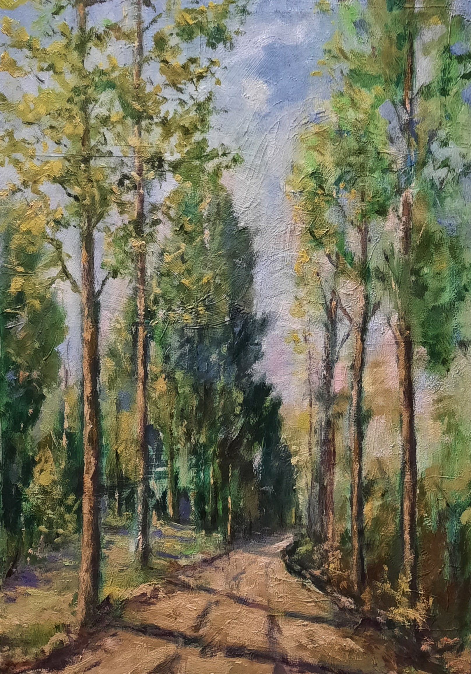 Strada di campagna