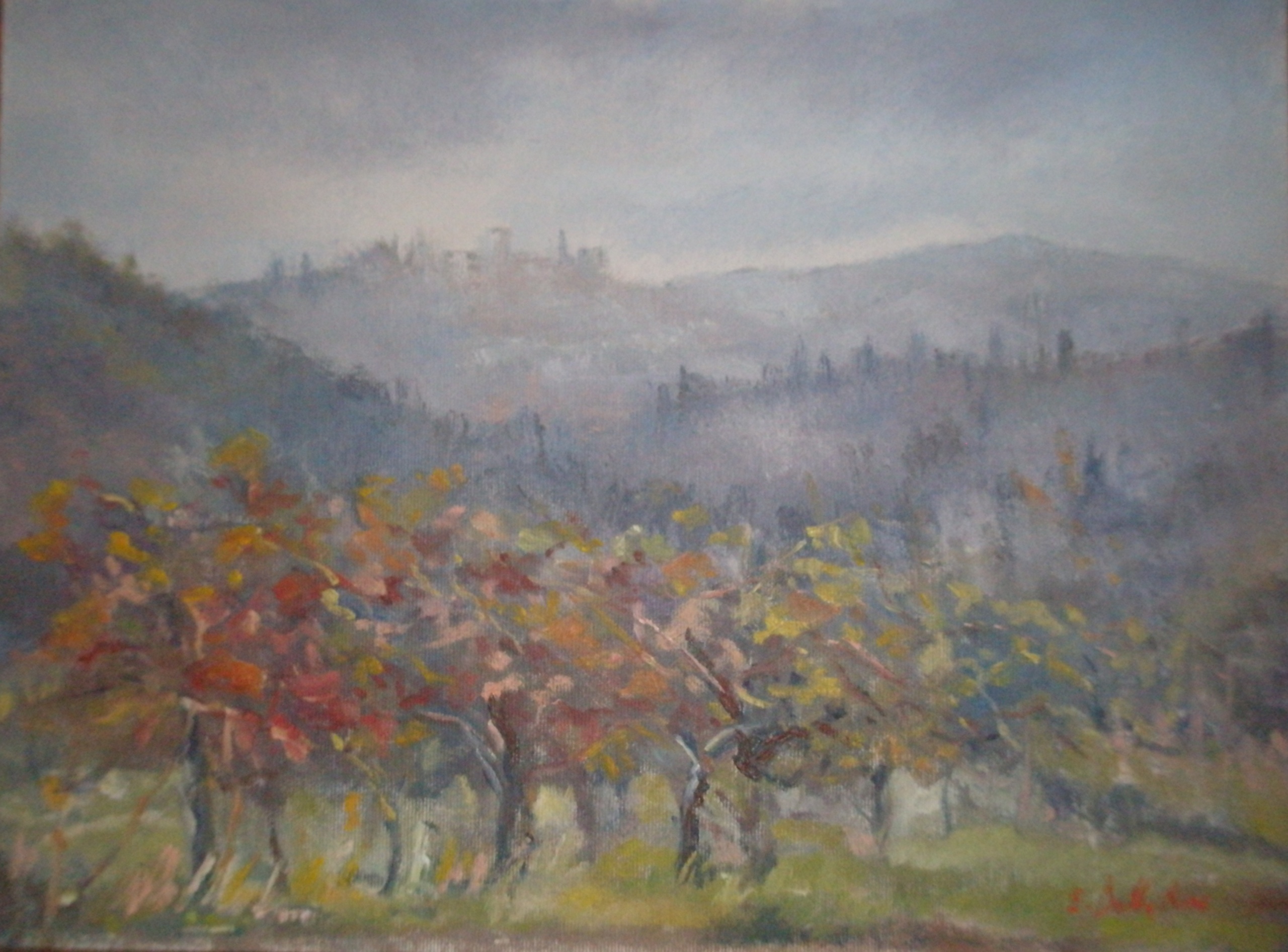 Vigna in autunno